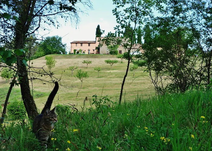 Agriturismo Monterosello